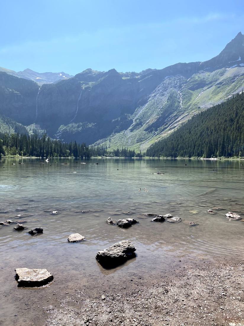 Avalanche Lake & the cedars