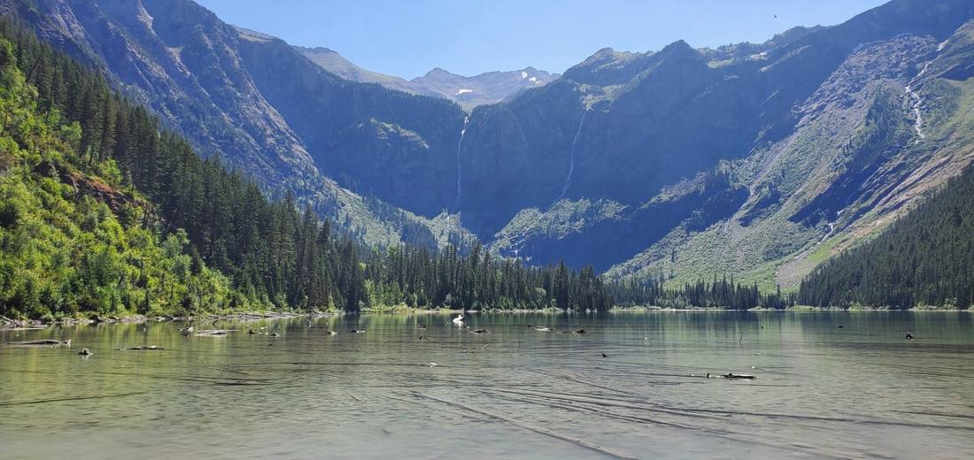 Avalanche Lake & the cedars