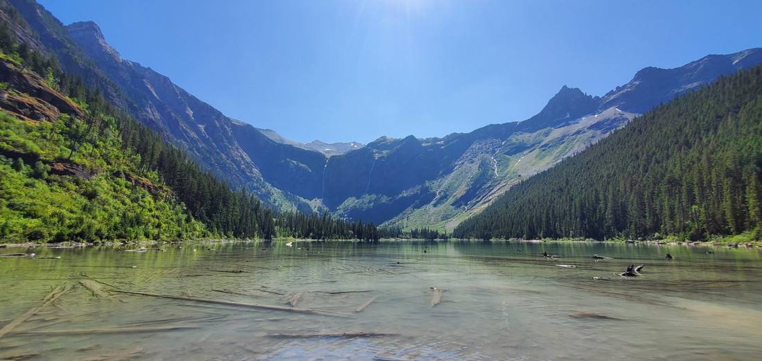 Avalanche Lake & the cedars