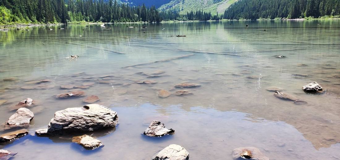 Avalanche Lake & the cedars