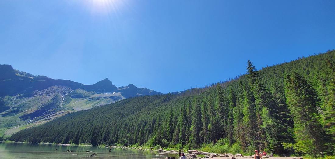 Avalanche Lake & the cedars