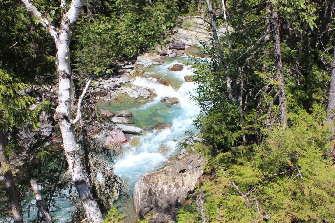 Avalanche Lake & the cedars