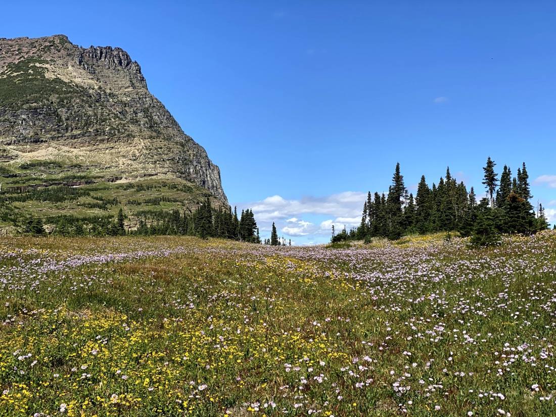 Logan Pass & Hidden Lake