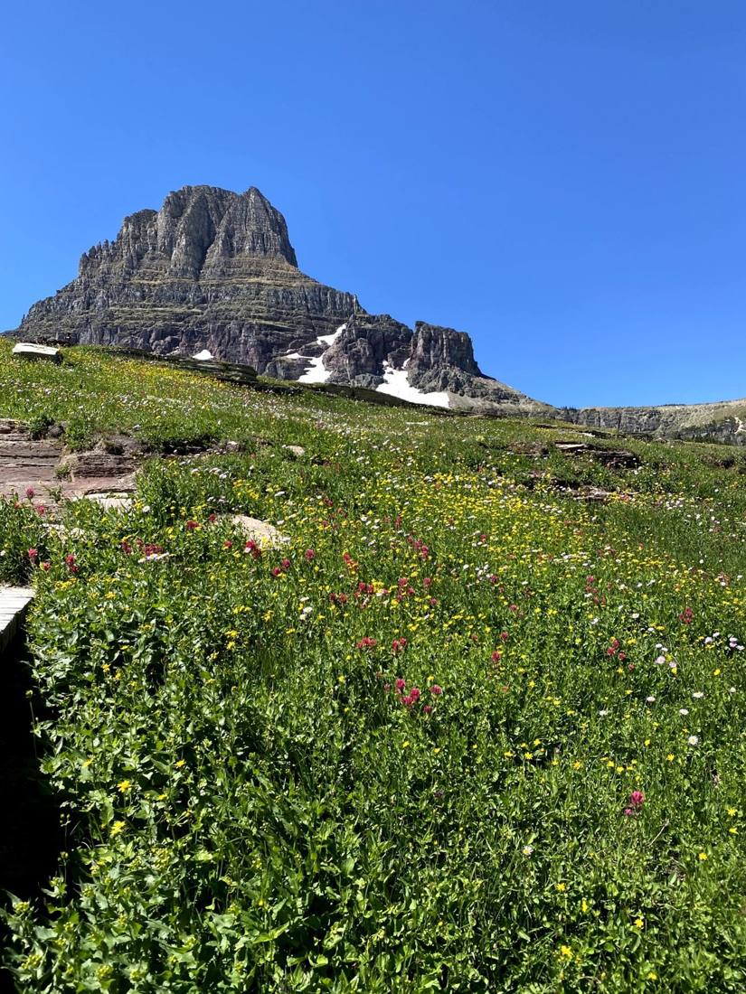 Logan Pass & Hidden Lake