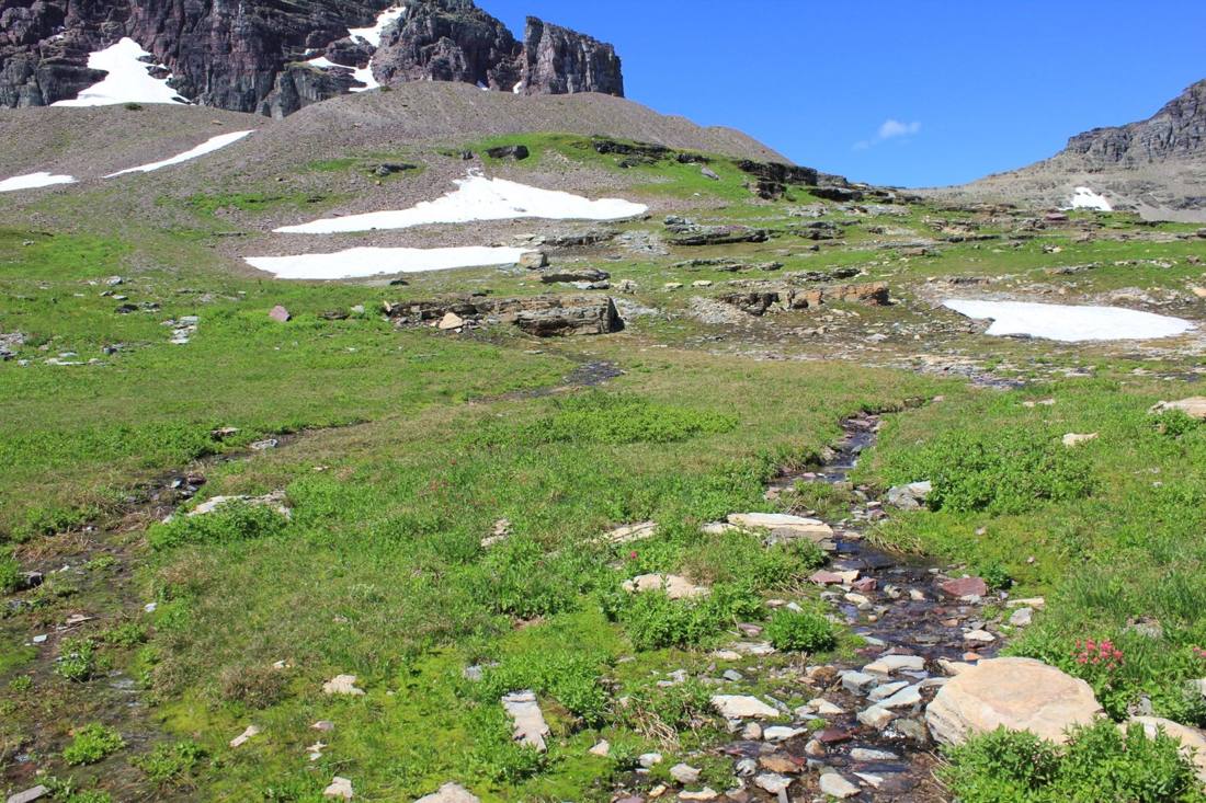 Logan Pass & Hidden Lake