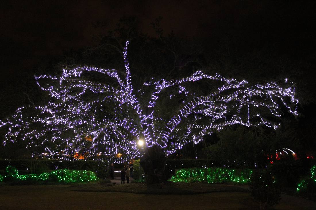 Celebration in the Oaks