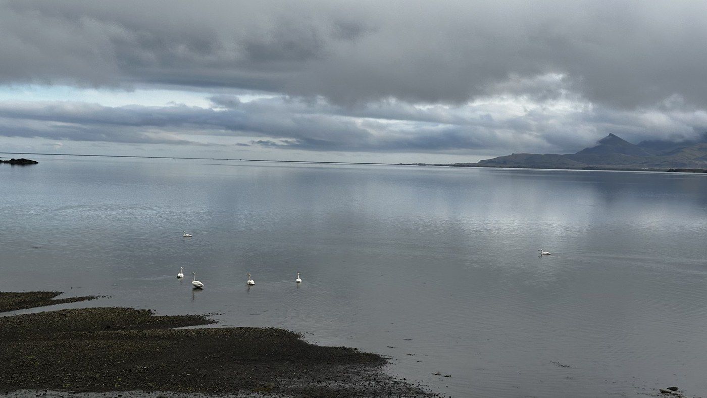 The Eastfjords, Mývatn & the north