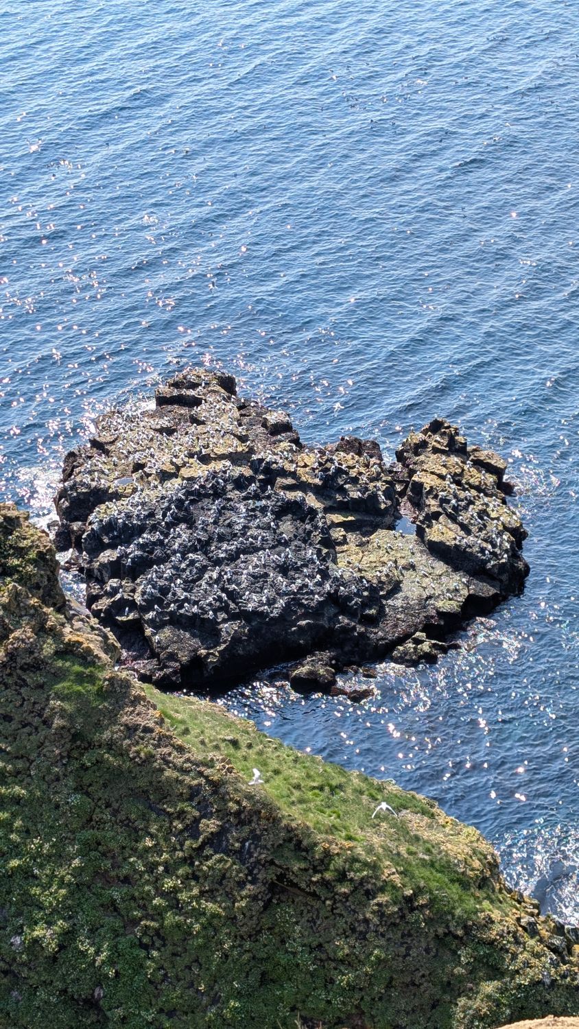 Snæfellsnes — Iceland in miniature