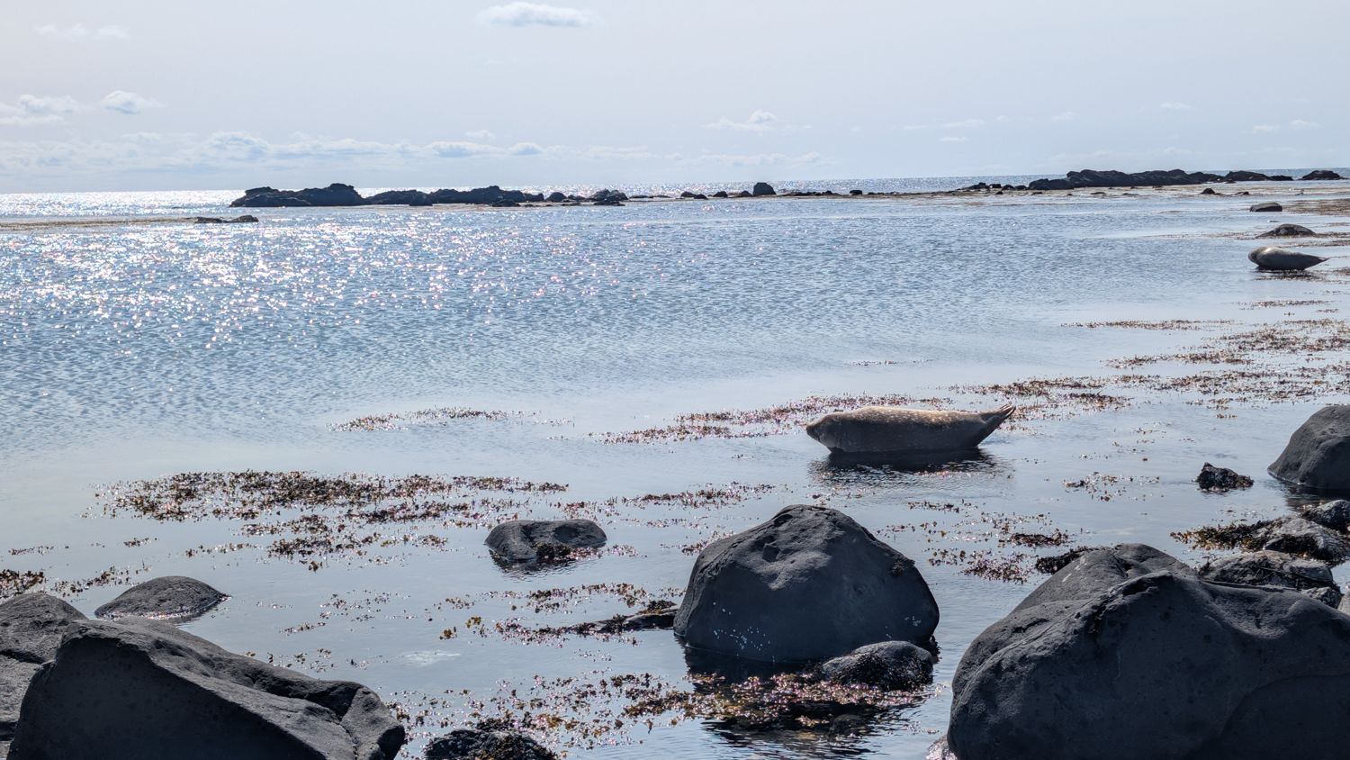 Snæfellsnes — Iceland in miniature