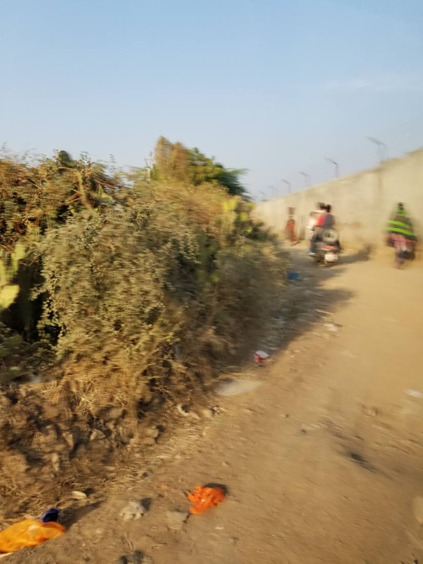 India 2017