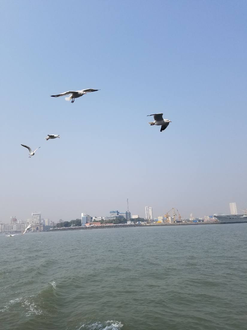 Mumbai harbour