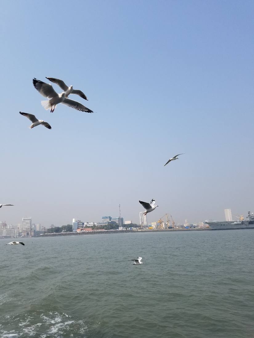 Mumbai harbour