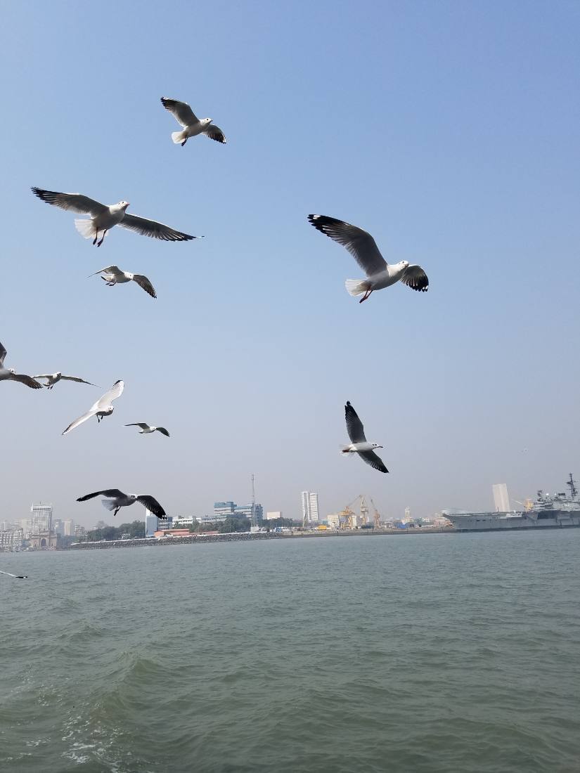Mumbai harbour