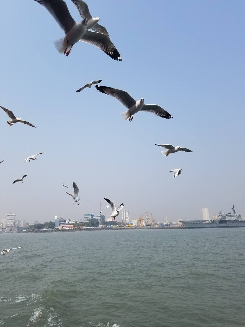 Mumbai harbour