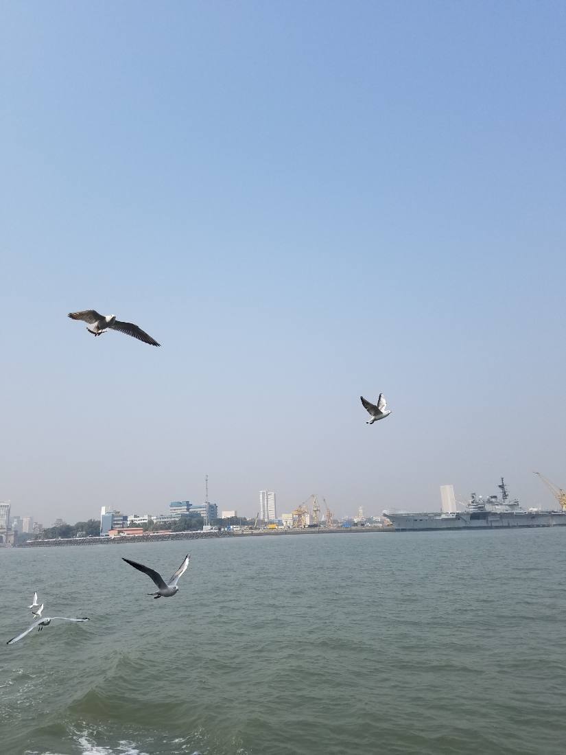 Mumbai harbour
