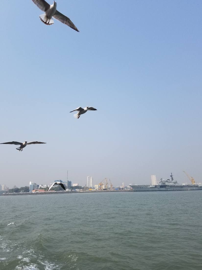Mumbai harbour