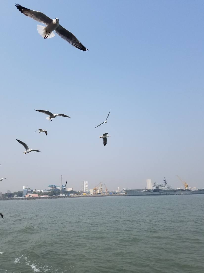 Mumbai harbour