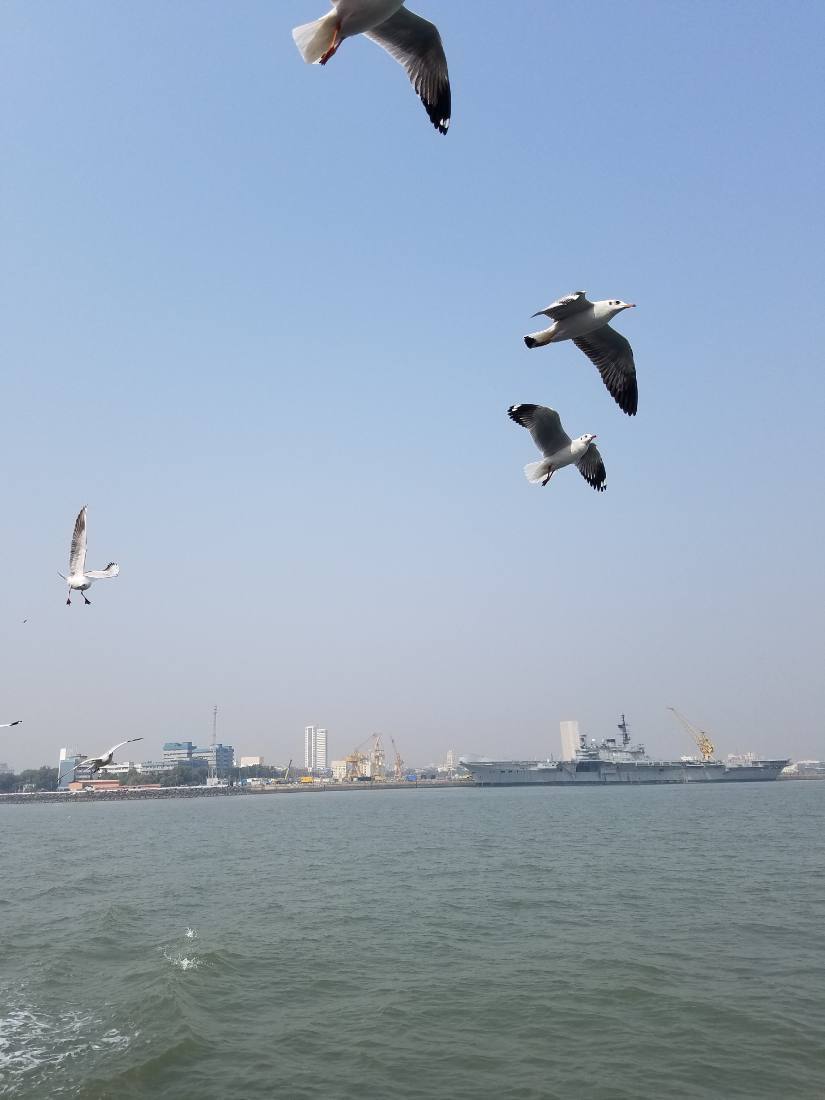 Mumbai harbour