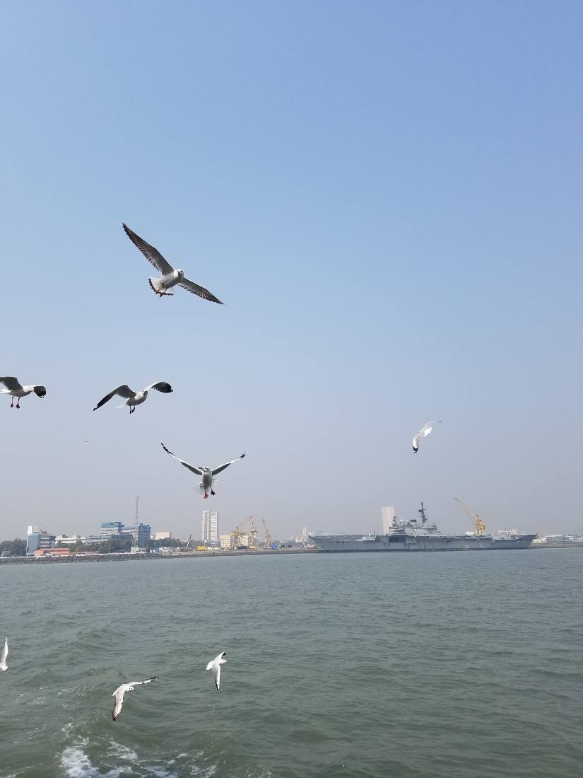Mumbai harbour
