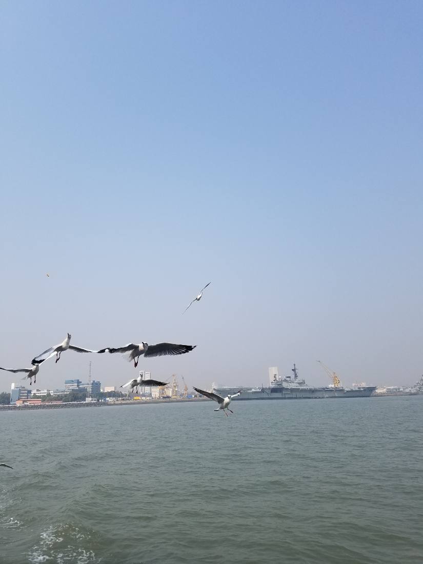 Mumbai harbour