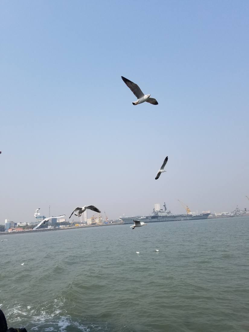 Mumbai harbour