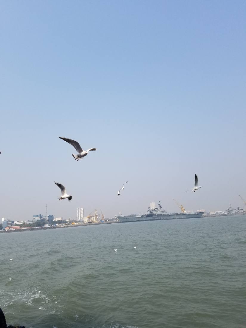 Mumbai harbour