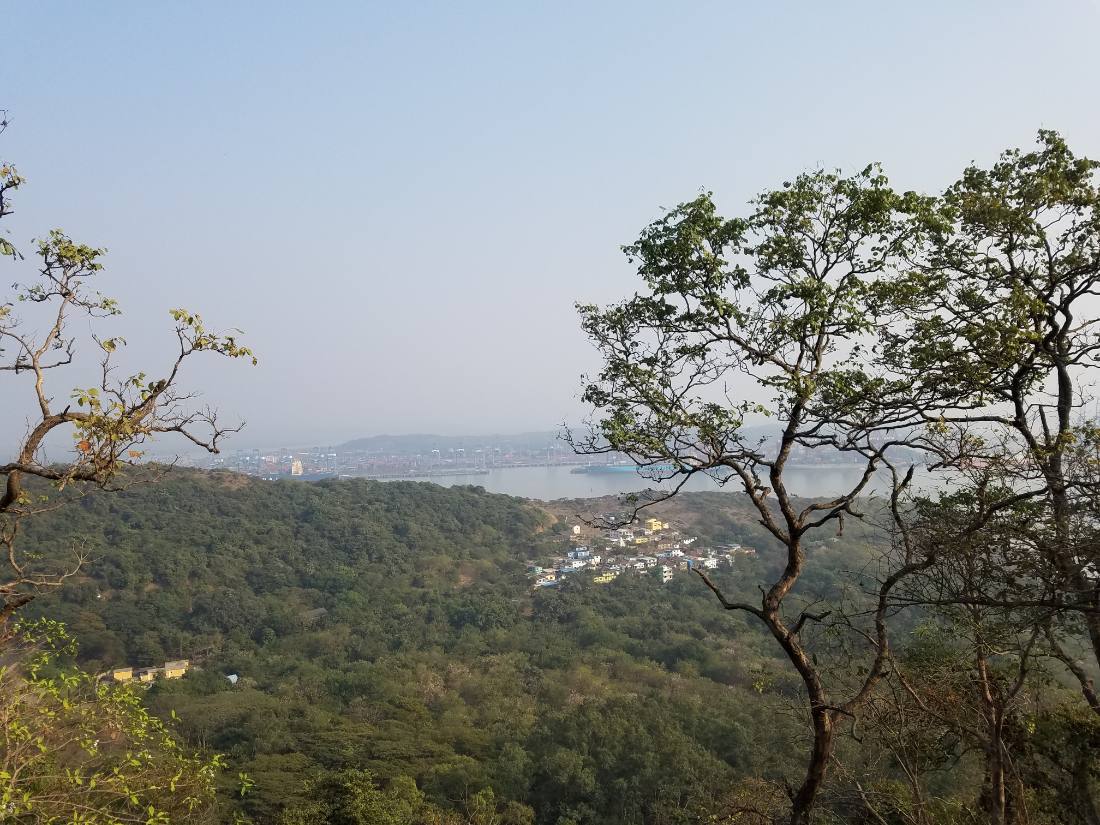 The Elephanta Caves