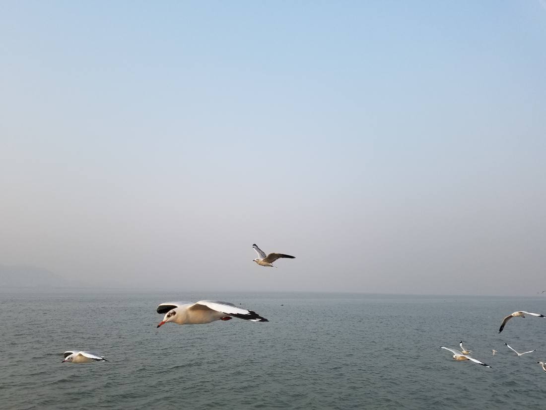 Mumbai — Gateway, CSMT & the Taj