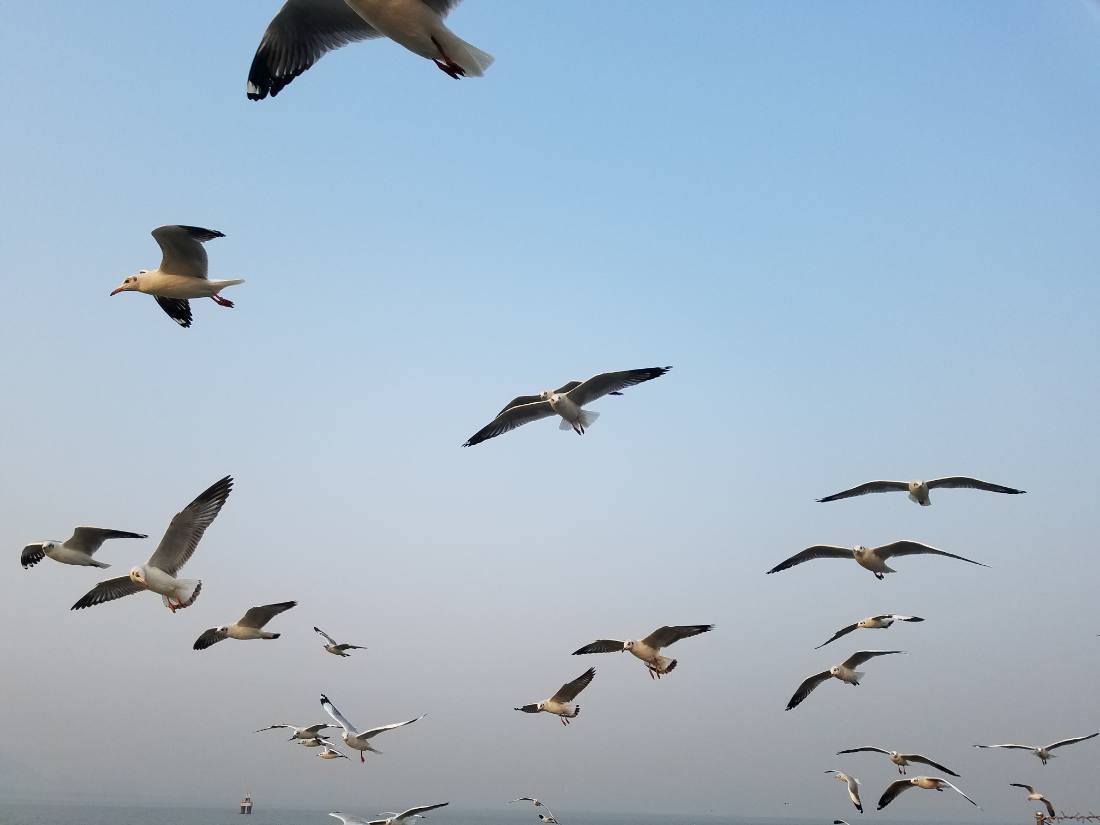 Mumbai — Gateway, CSMT & the Taj