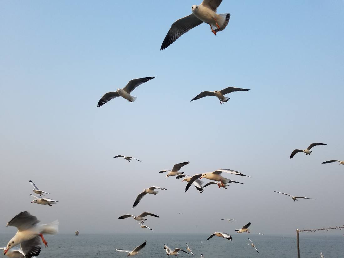 Mumbai — Gateway, CSMT & the Taj