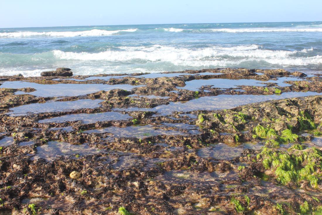 West Maui Coast & Blowholes