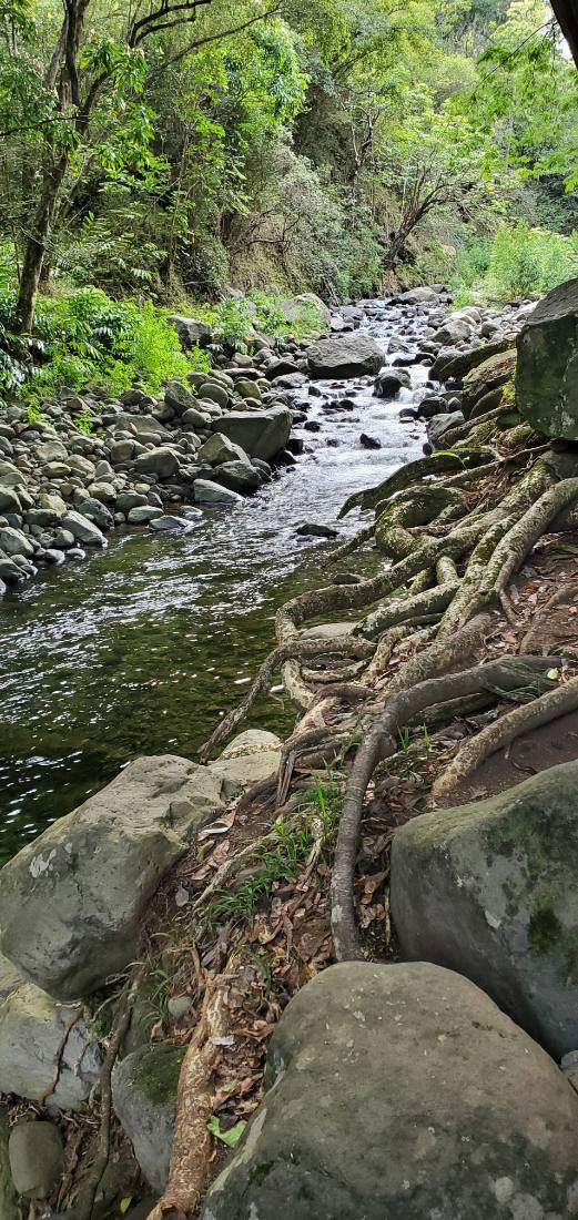 Iao Valley & Upcountry