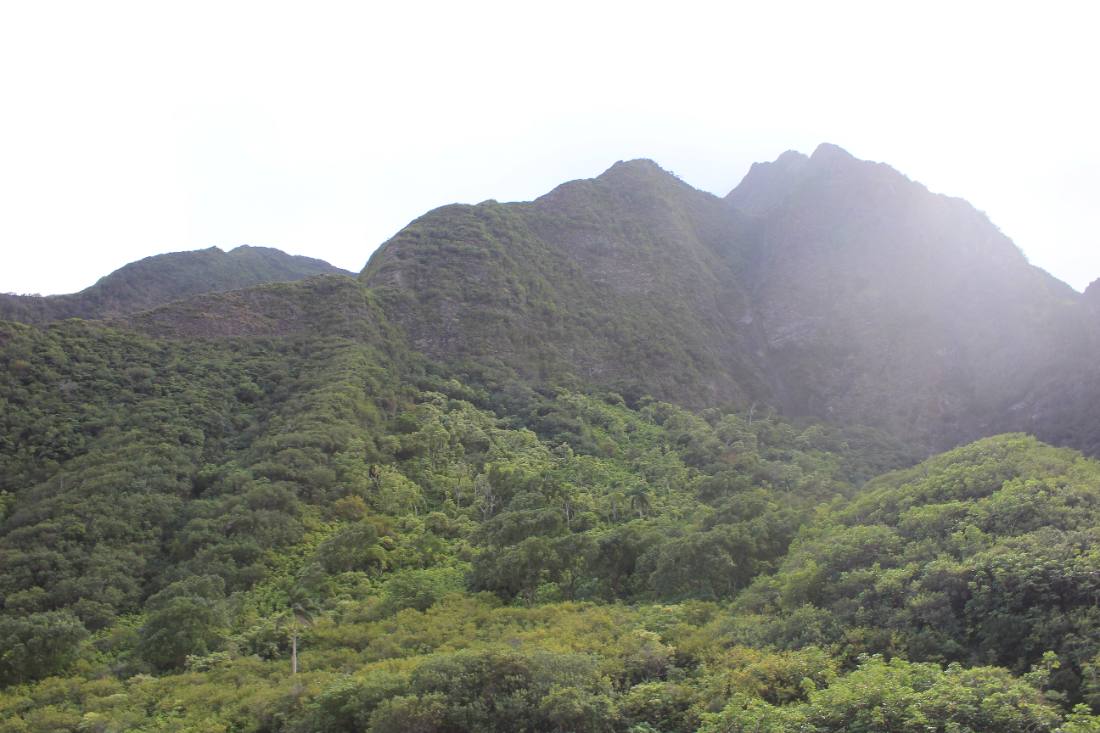 Iao Valley & Upcountry
