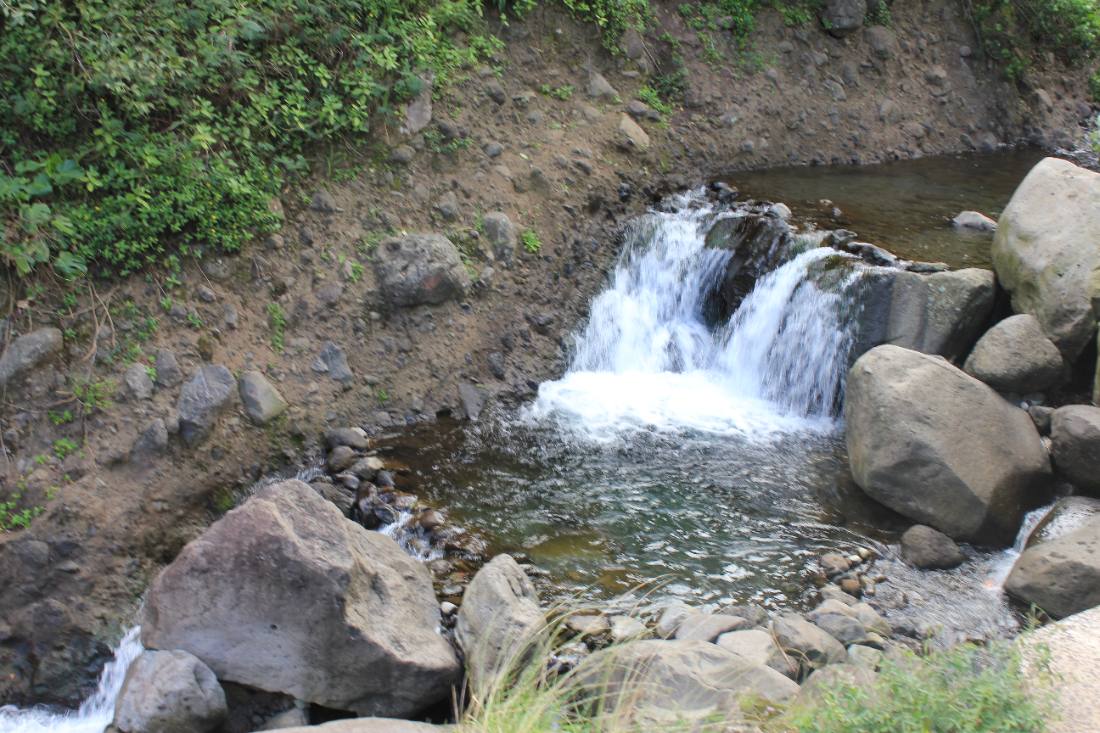 Iao Valley & Upcountry