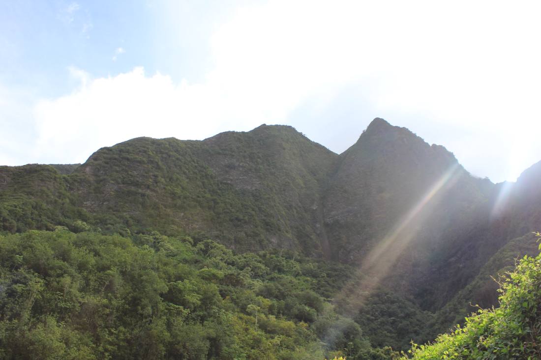 Iao Valley & Upcountry