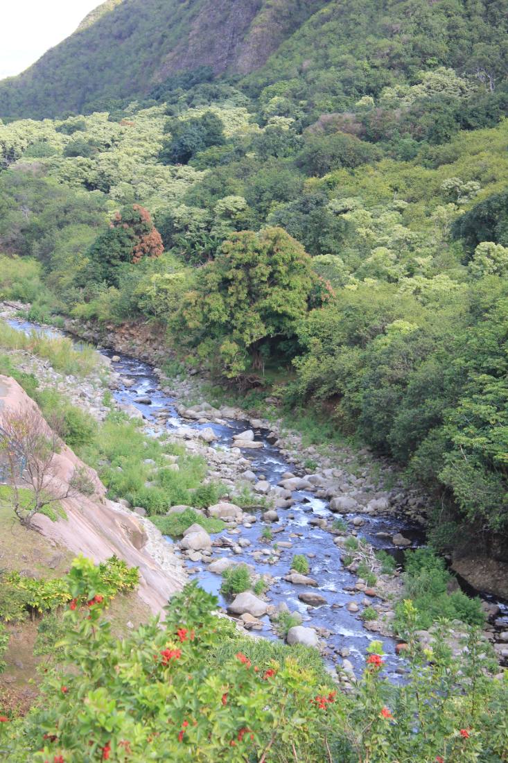 Iao Valley & Upcountry