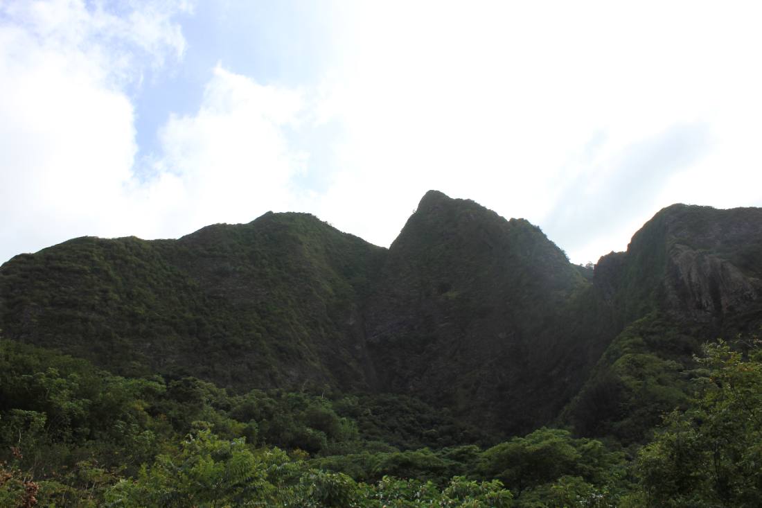 Iao Valley & Upcountry