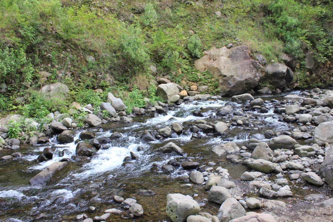 Iao Valley & Upcountry