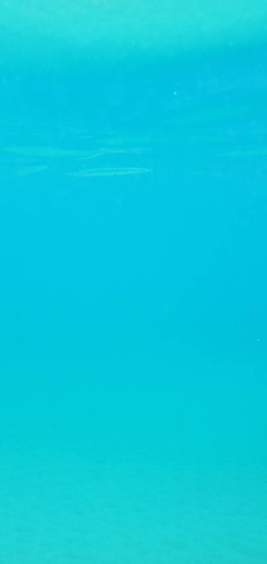 Snorkeling & Beaches