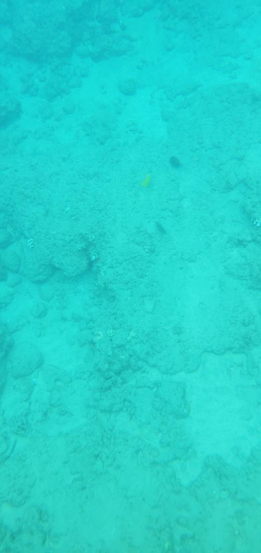 Snorkeling & Beaches