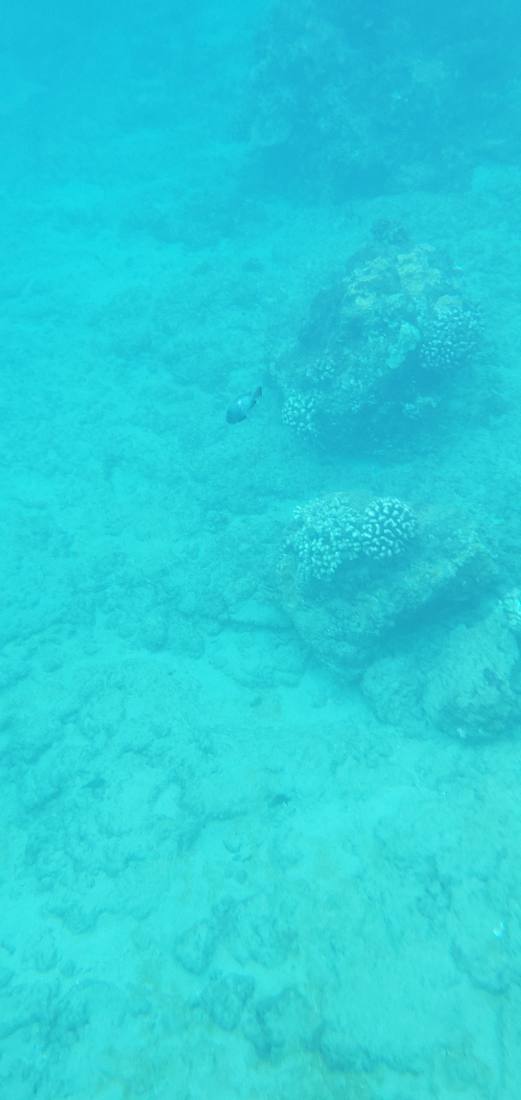 Snorkeling & Beaches