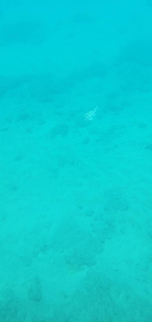 Snorkeling & Beaches