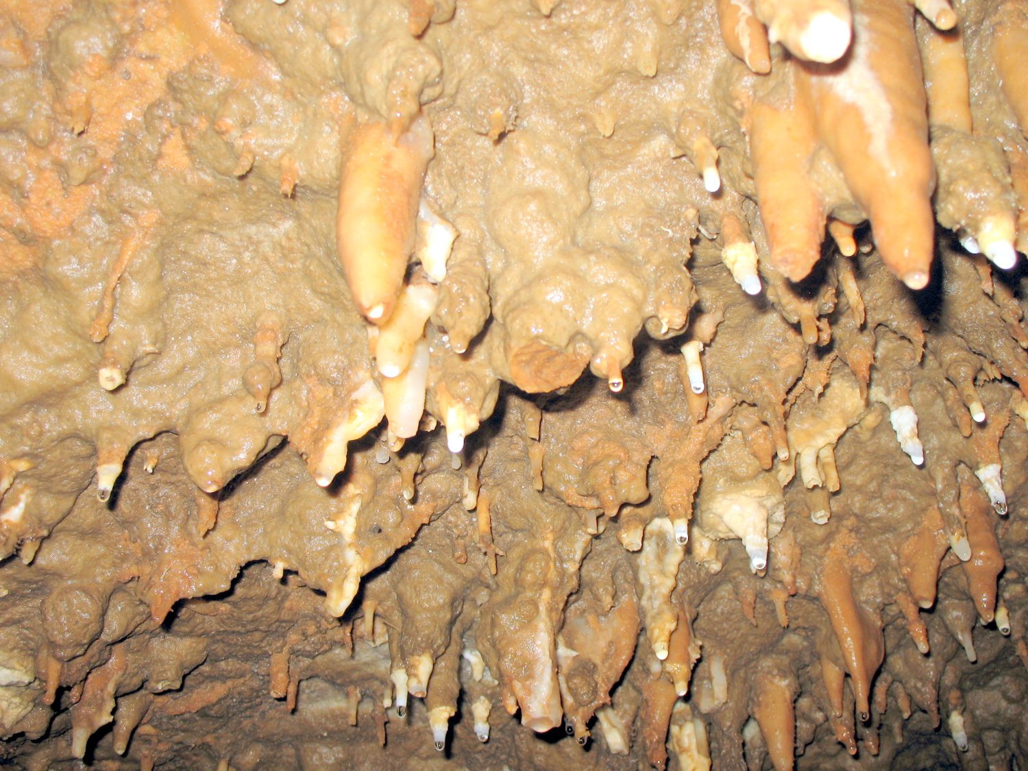 Meramec Caverns
