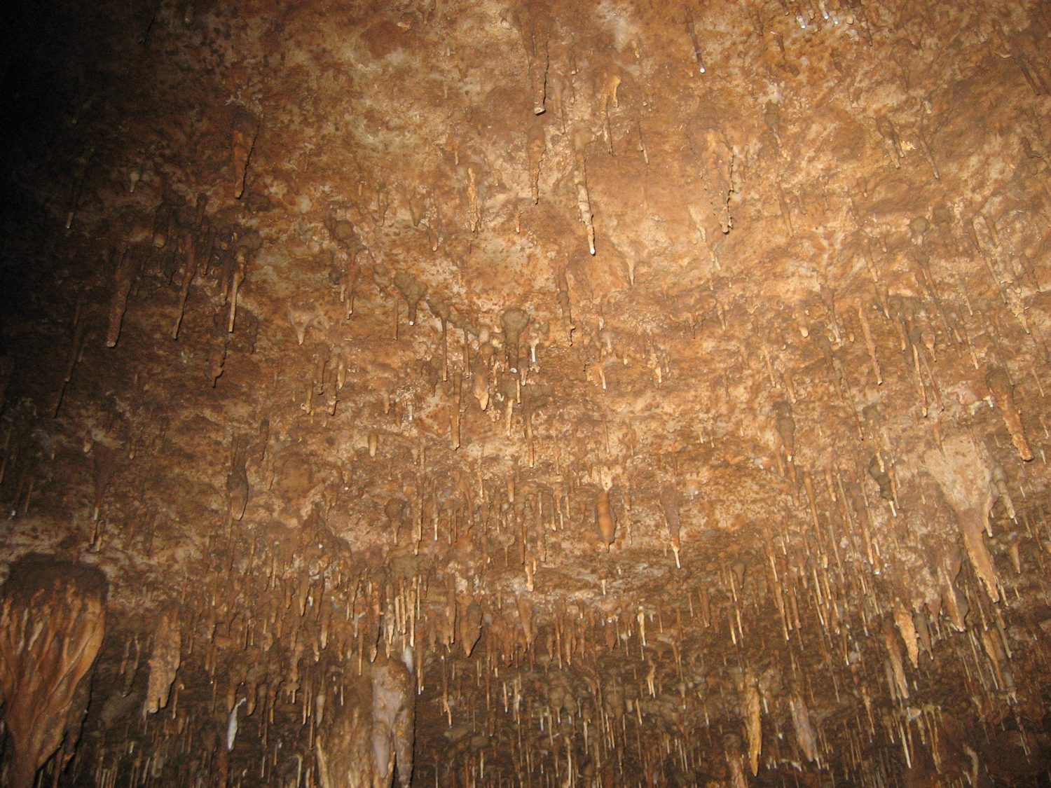 Meramec Caverns