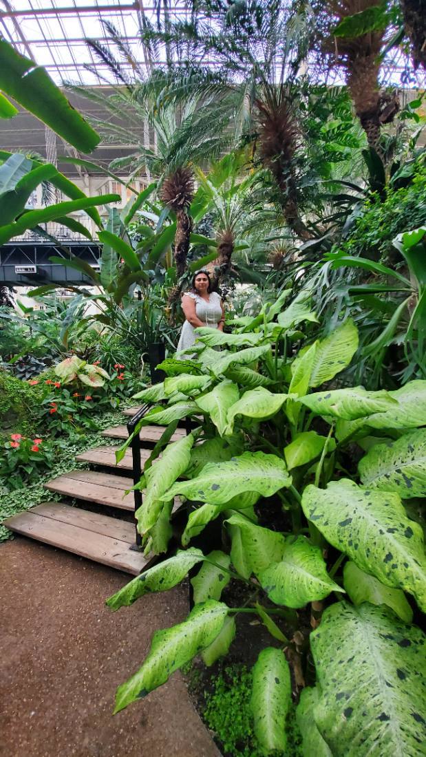 The Opryland gardens
