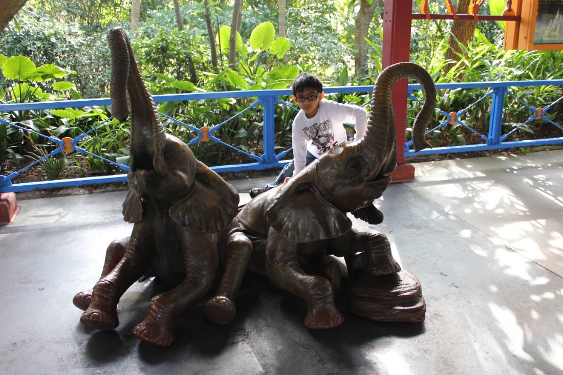 Disney's Animal Kingdom safari