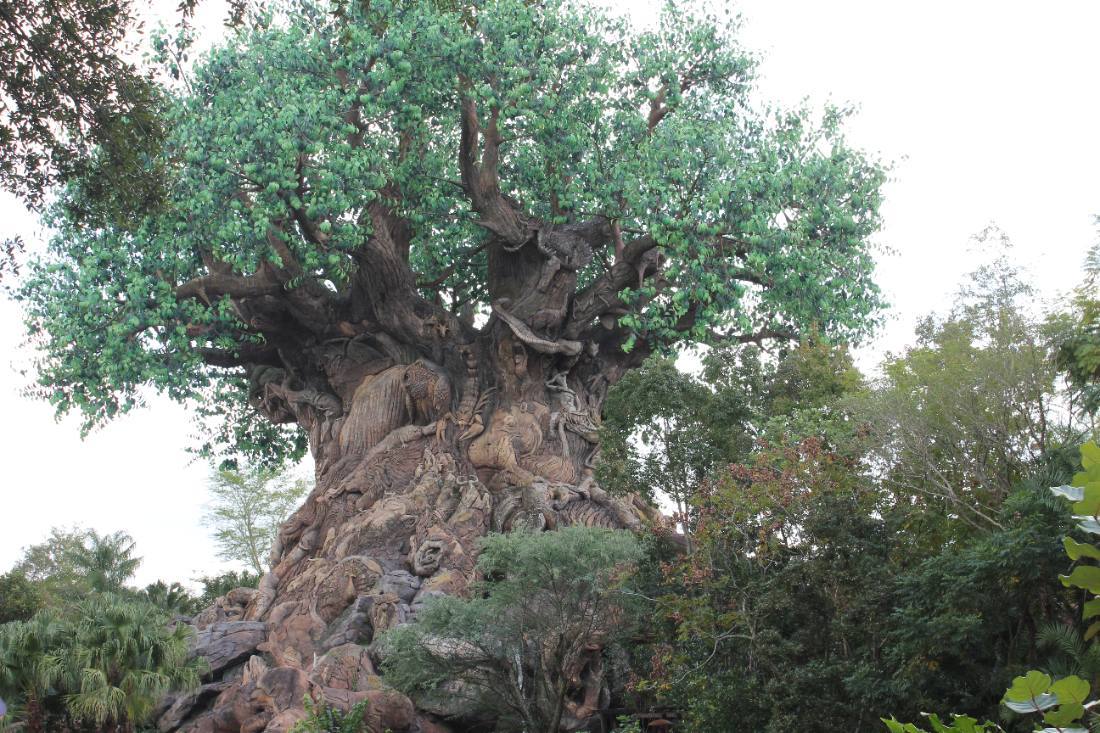 Animal Kingdom