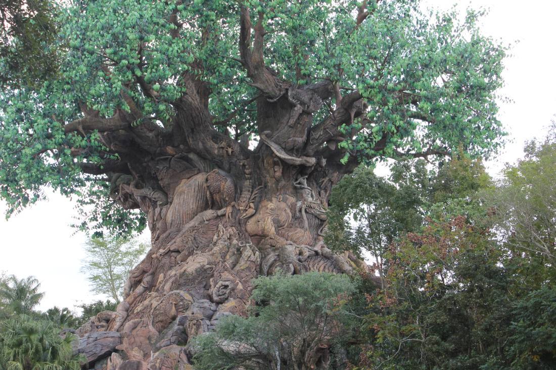 Animal Kingdom