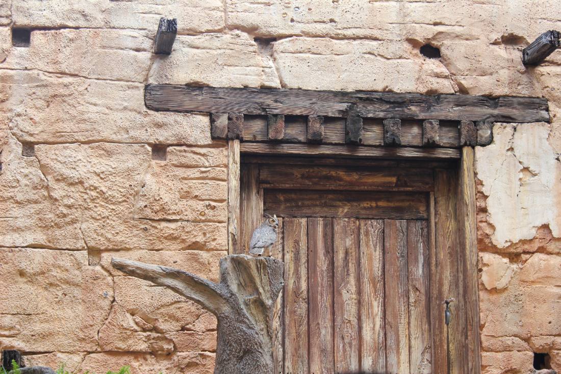 Animal Kingdom