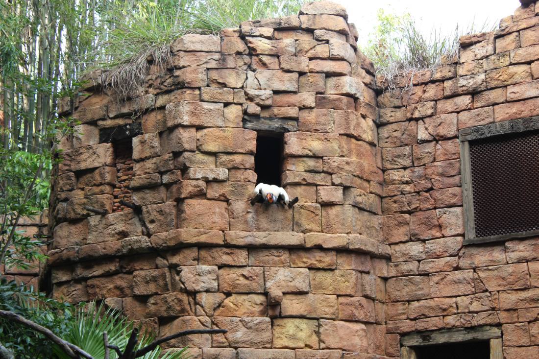 Animal Kingdom